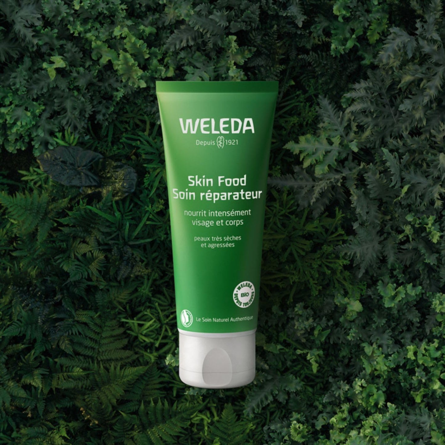 WELEDA - Skin Food Soin réparateur - Protège et répare les peaux très sèches et agressées - Atténue les sensations d'inconfort et hydrate intensément - NATRUE - 75 ml