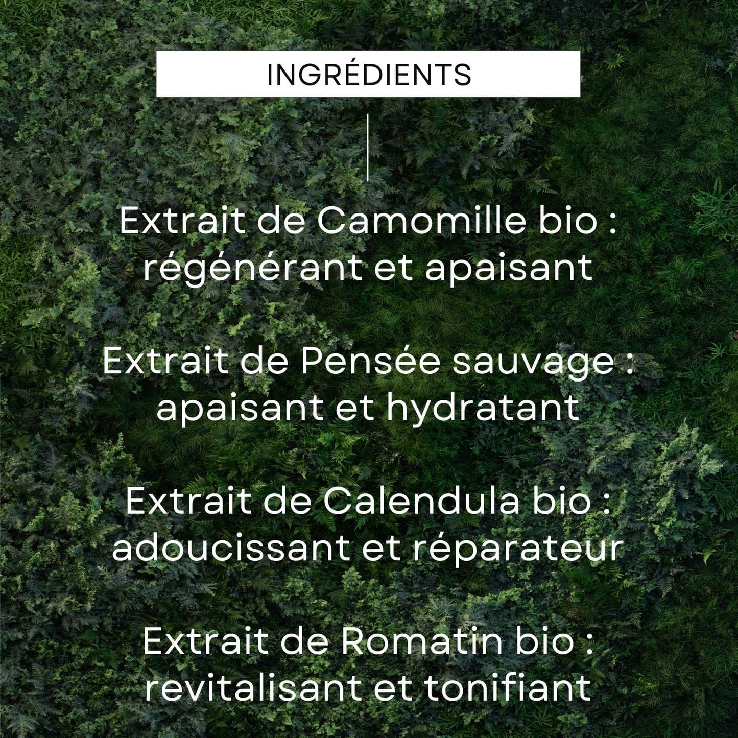 WELEDA - Skin Food Soin réparateur - Protège et répare les peaux très sèches et agressées - Atténue les sensations d'inconfort et hydrate intensément - NATRUE - 75 ml